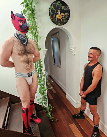 Pup Benji Sucks Off Leo